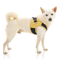 Escape Free Easy Fit X