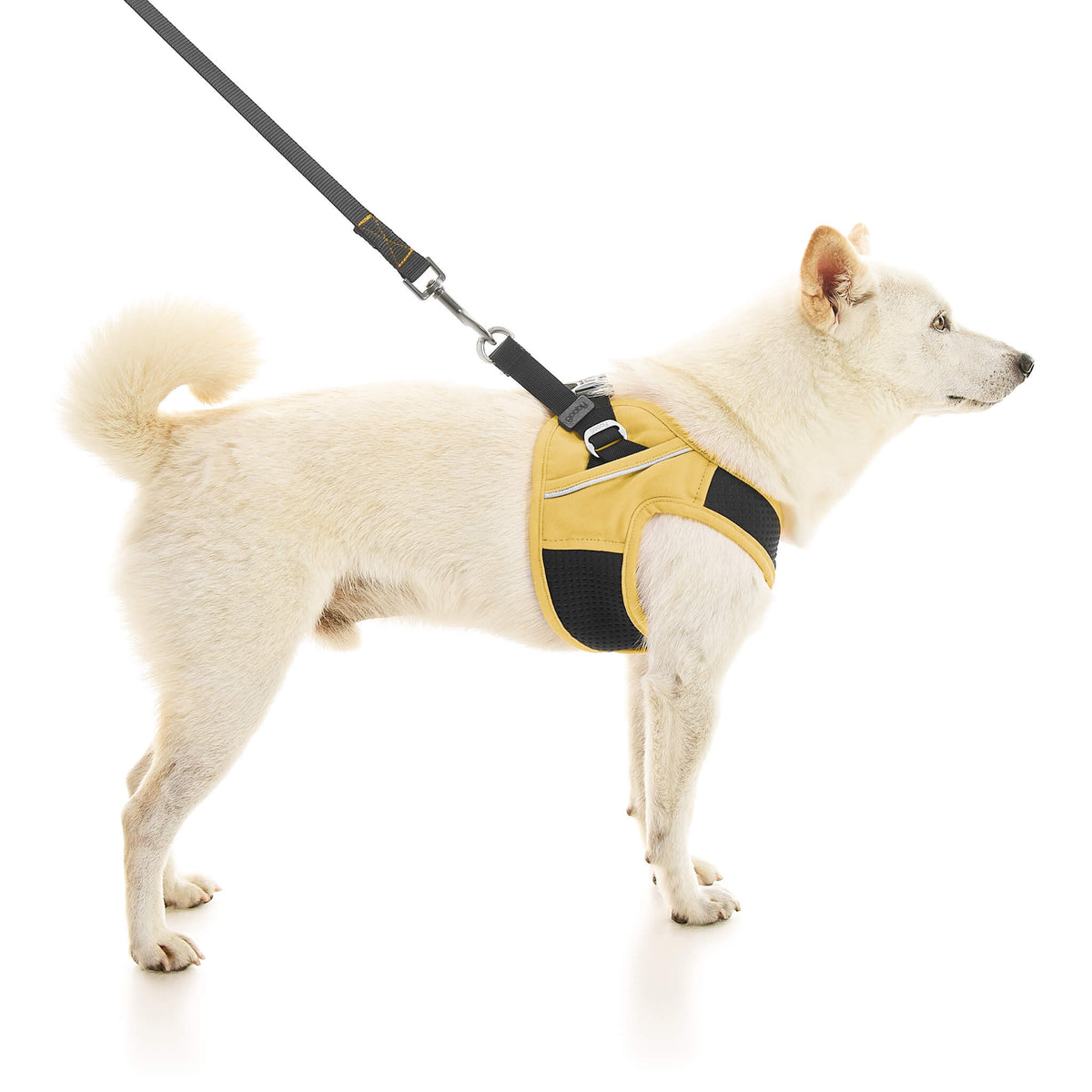 Escape Free Easy Fit X