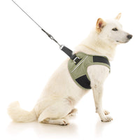 Escape Free Easy Fit X