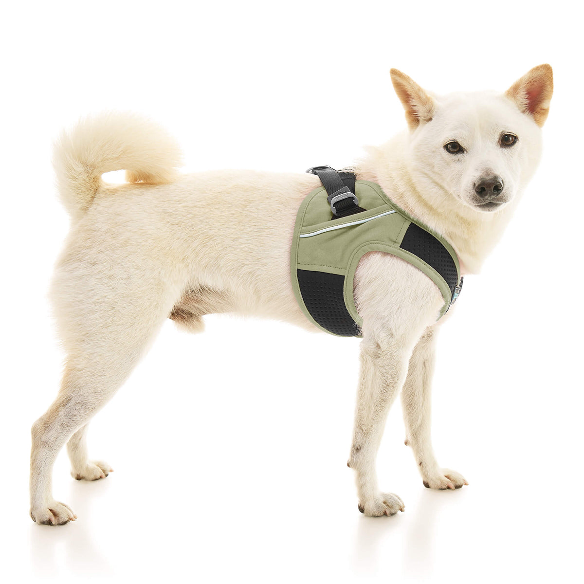 Escape Free Easy Fit X