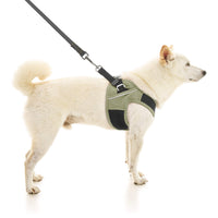 Escape Free Easy Fit X