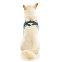 Escape Free Easy Fit X