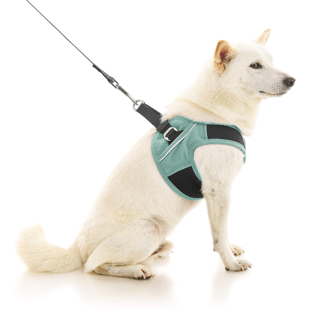 Escape Free Easy Fit X