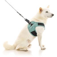 Escape Free Easy Fit X