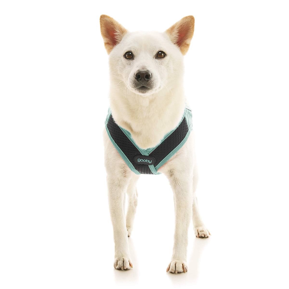 Escape Free Easy Fit X