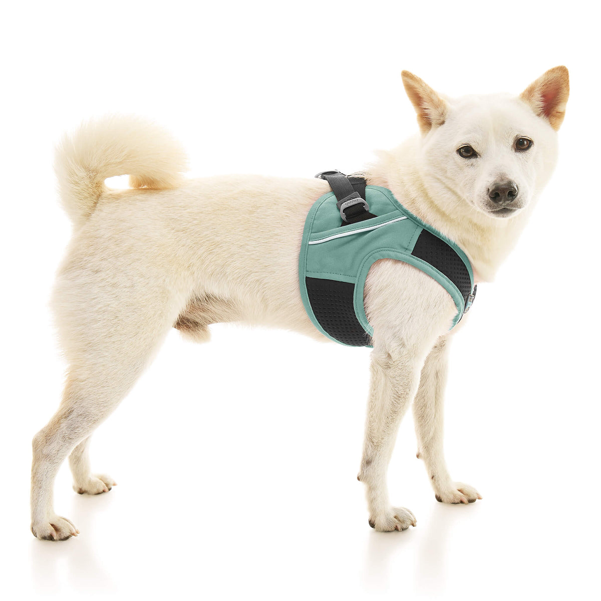 Escape Free Easy Fit X