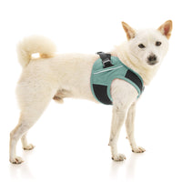 Escape Free Easy Fit X