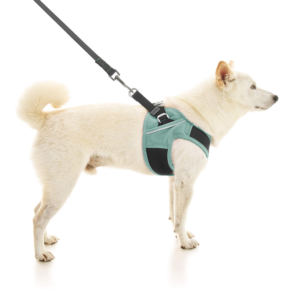 Escape Free Easy Fit X