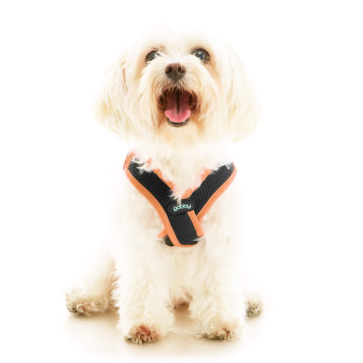 Escape Free Easy Fit X