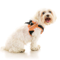 Escape Free Easy Fit X