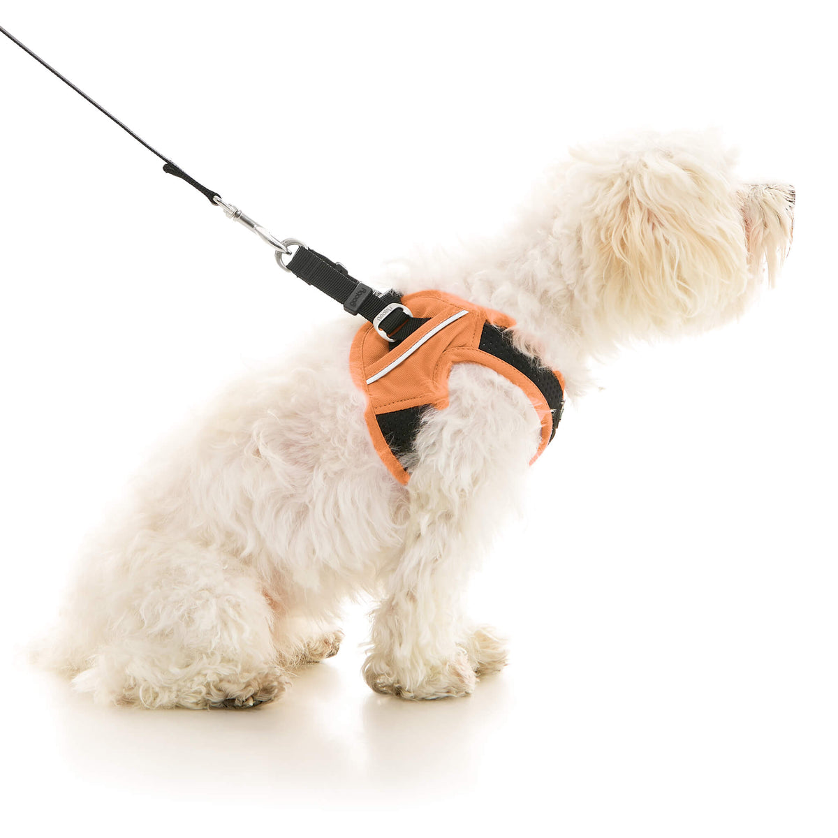 Escape Free Easy Fit X