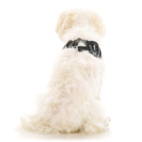 Escape Free Easy Fit X