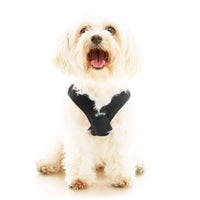 Escape Free Easy Fit X