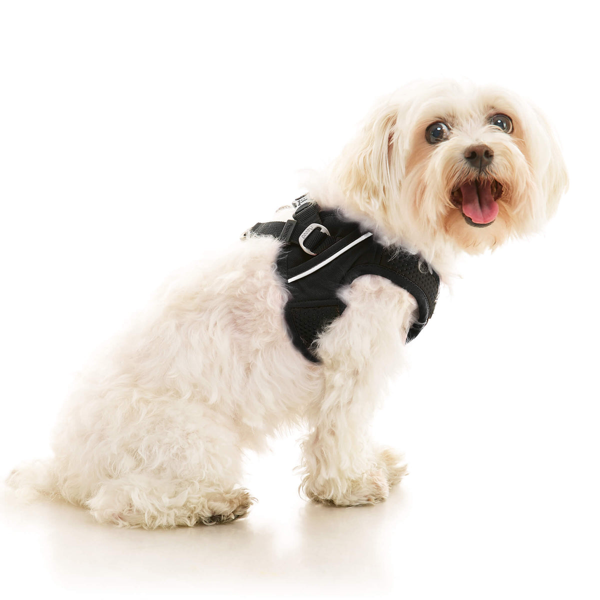 Escape Free Easy Fit X