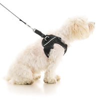 Escape Free Easy Fit X