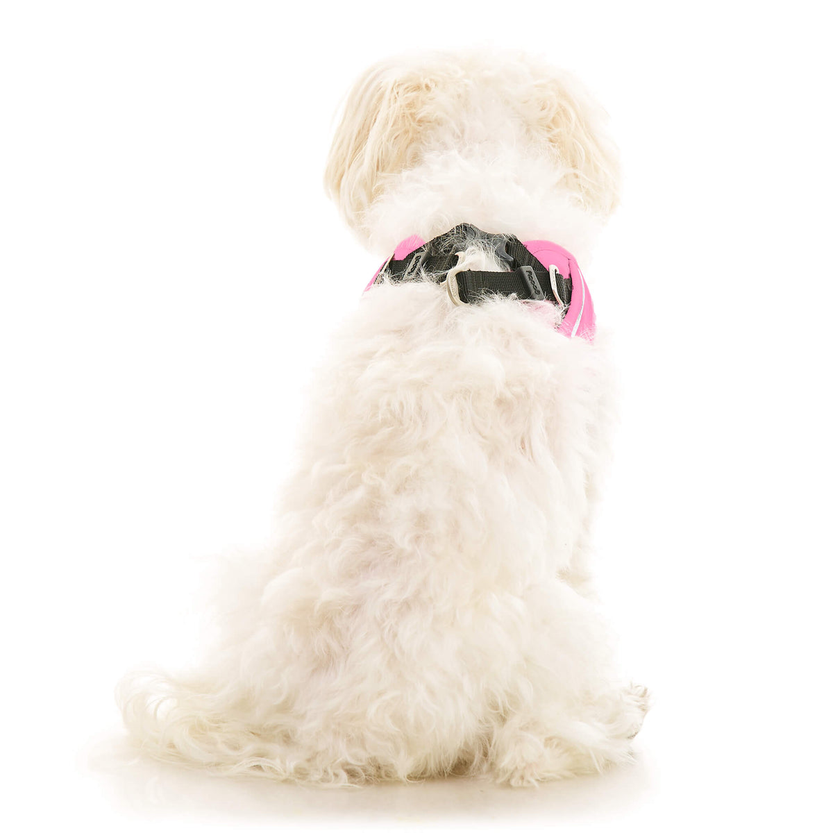 Escape Free Easy Fit X