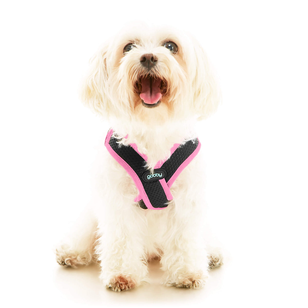 Escape Free Easy Fit X