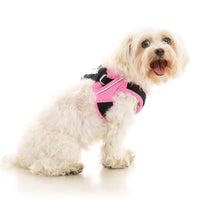 Escape Free Easy Fit X