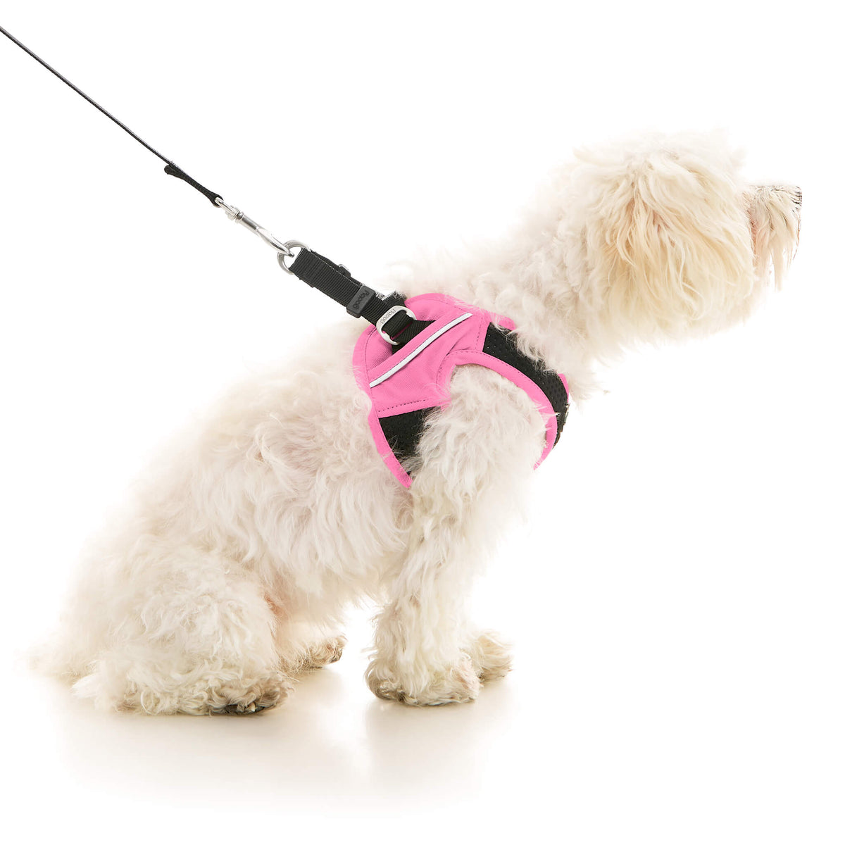 Escape Free Easy Fit X