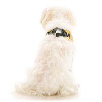 Escape Free Easy Fit X