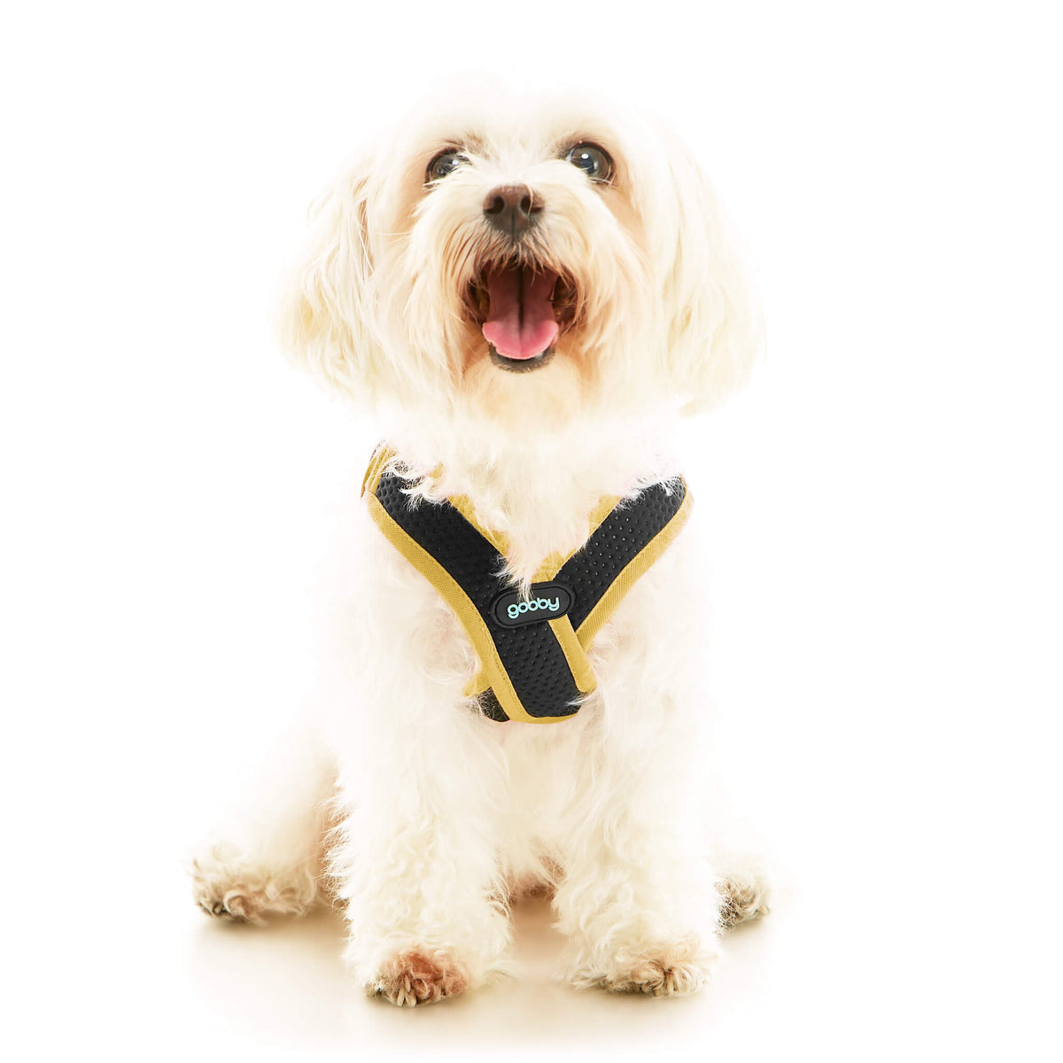 Escape Free Easy Fit X