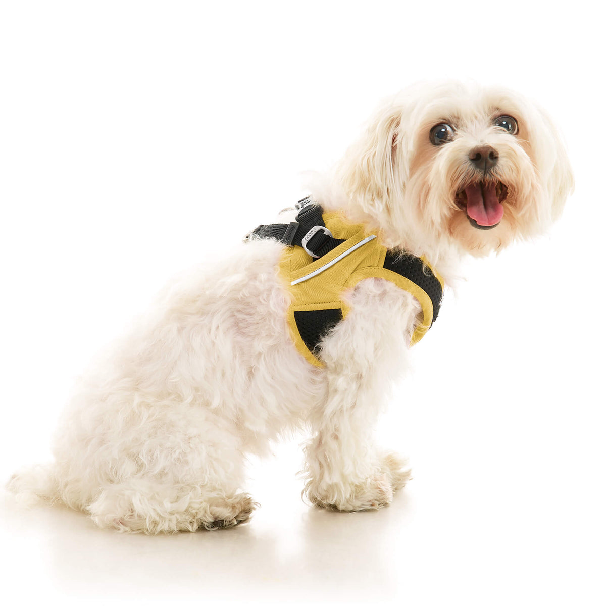 Escape Free Easy Fit X