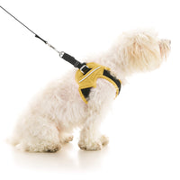 Escape Free Easy Fit X