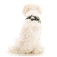 Escape Free Easy Fit X