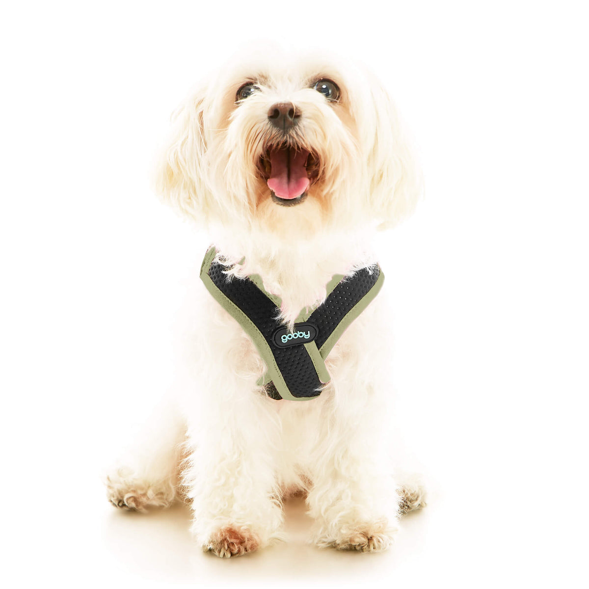 Escape Free Easy Fit X