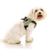 Escape Free Easy Fit X