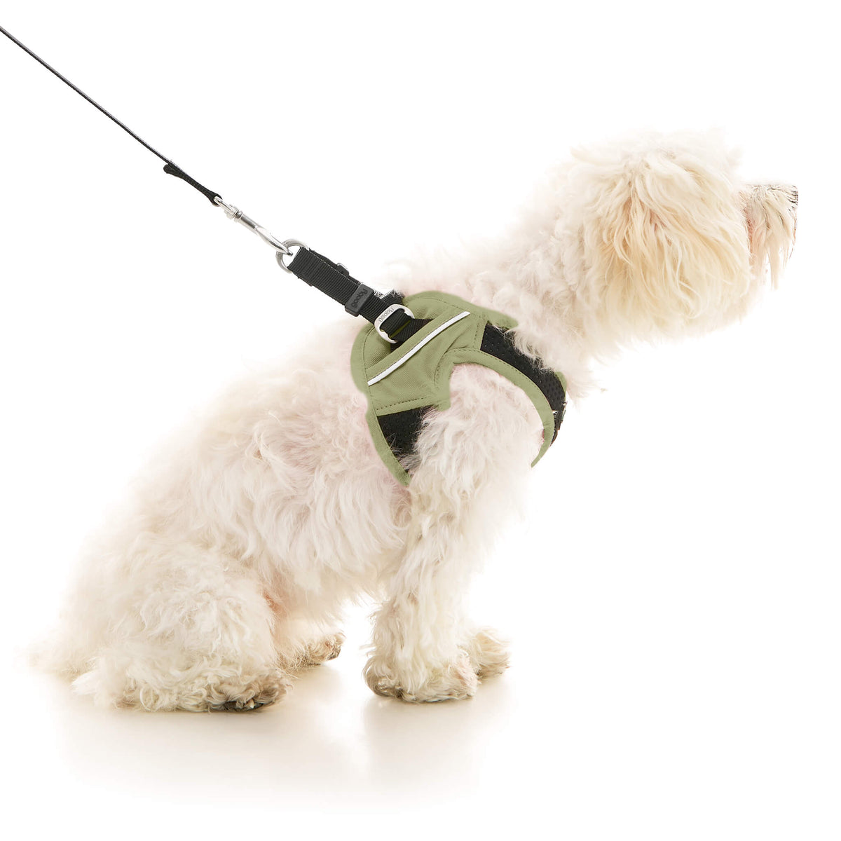 Escape Free Easy Fit X