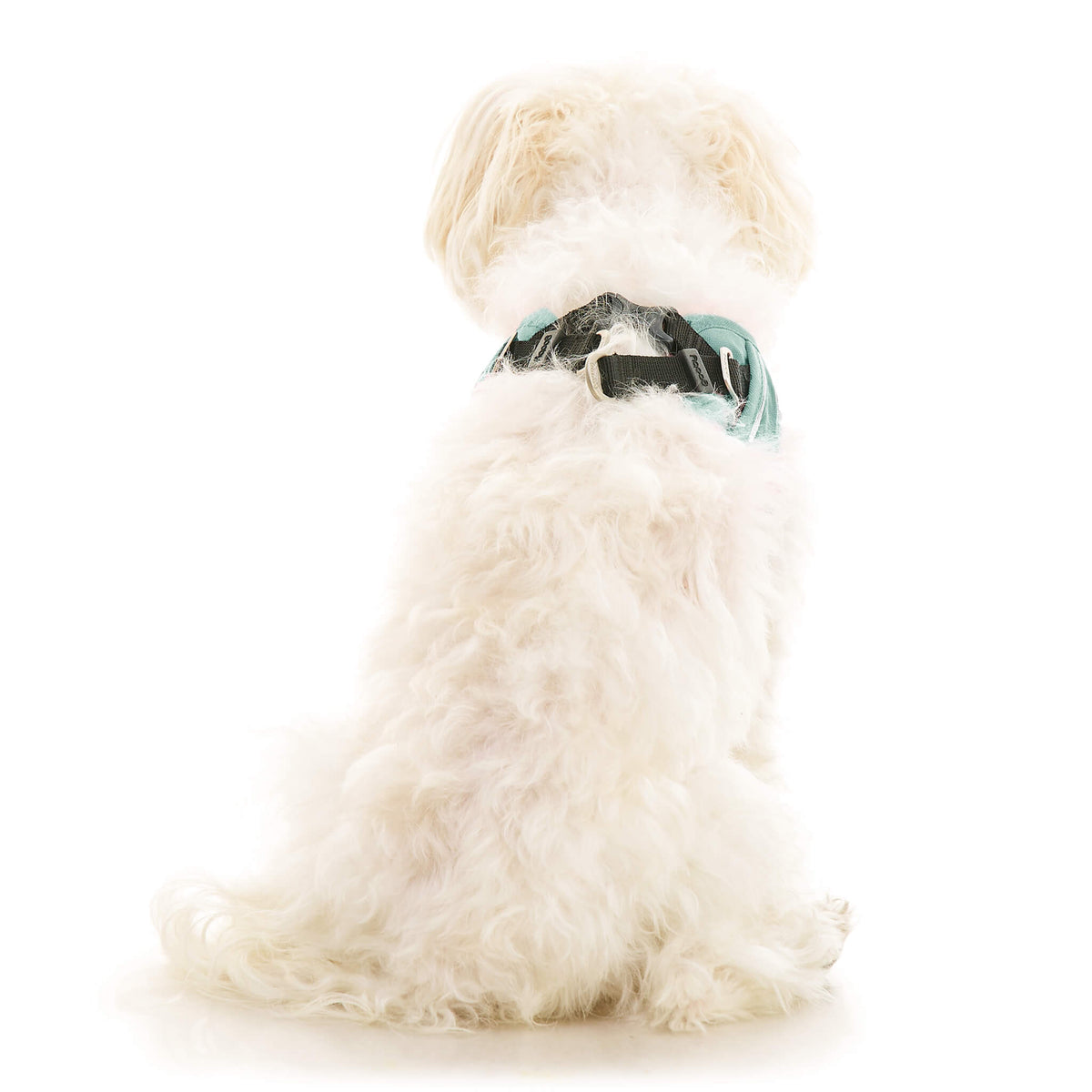 Escape Free Easy Fit X