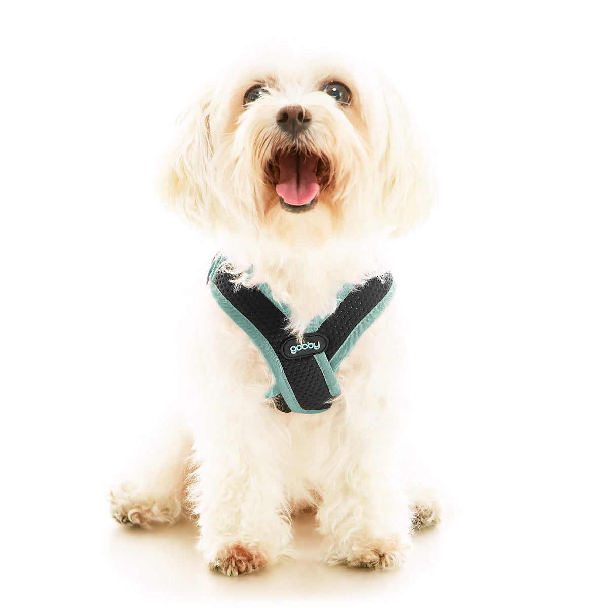 Escape Free Easy Fit X