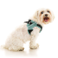 Escape Free Easy Fit X