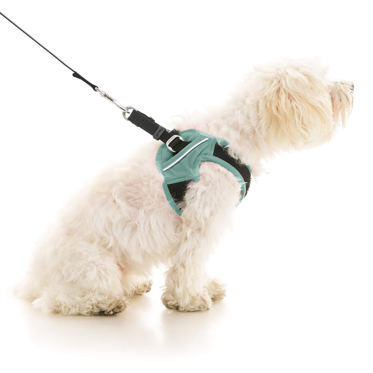 Escape Free Easy Fit X