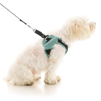 Escape Free Easy Fit X