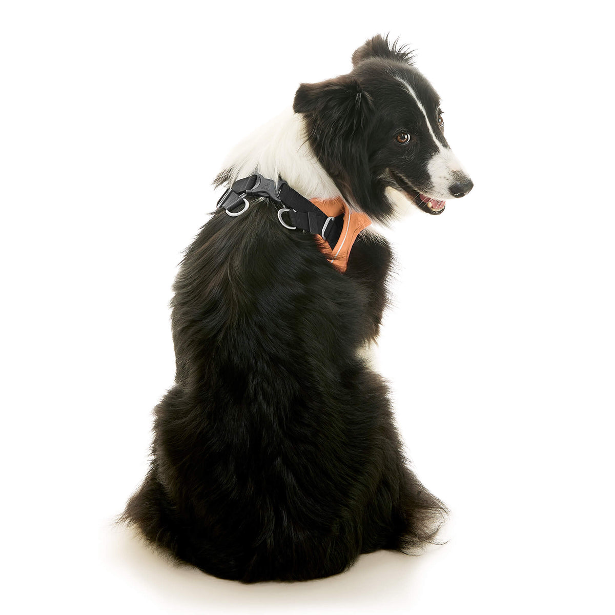 Escape Free Easy Fit X