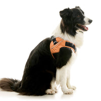 Escape Free Easy Fit X