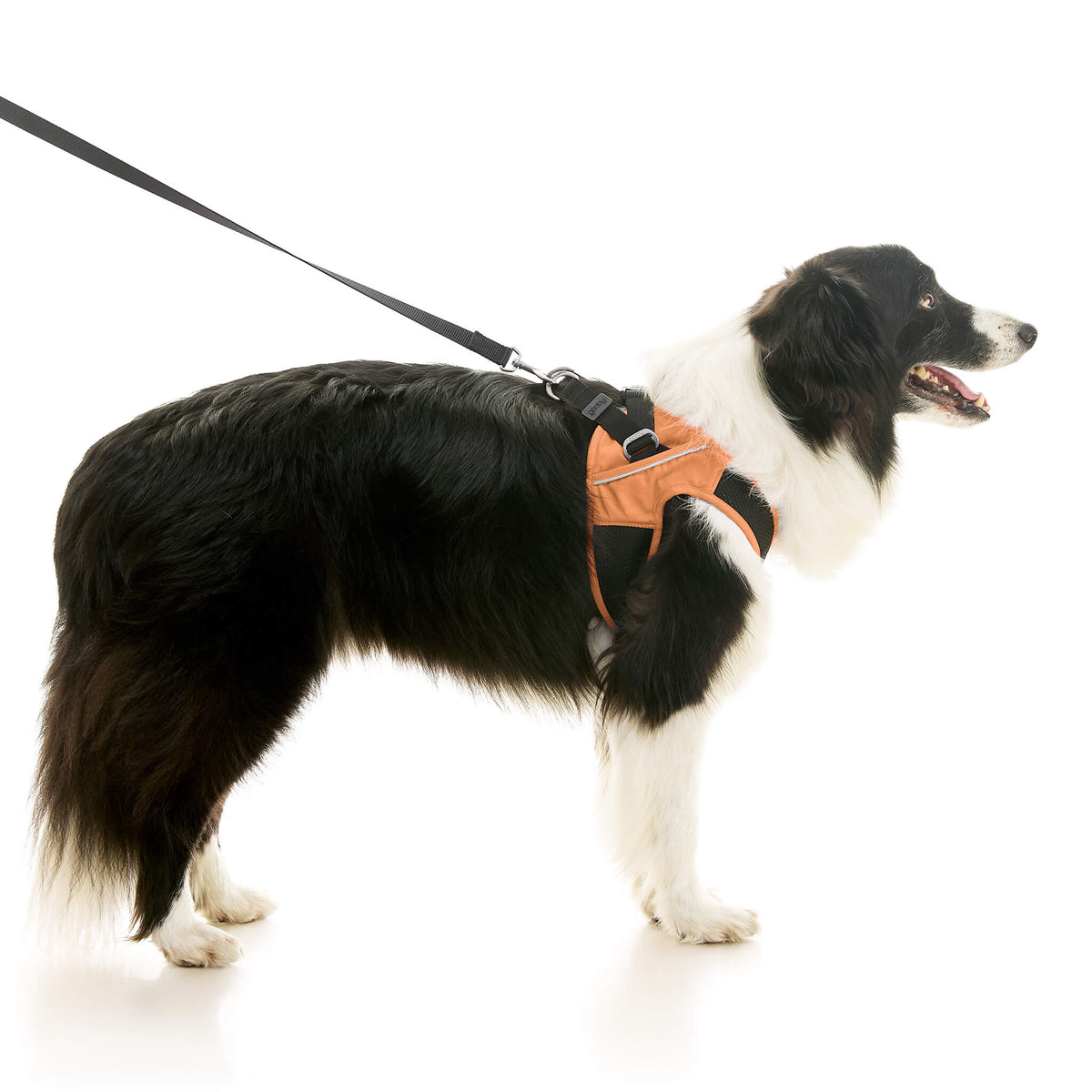 Escape Free Easy Fit X