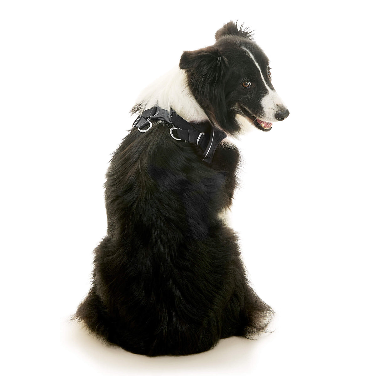 Escape Free Easy Fit X