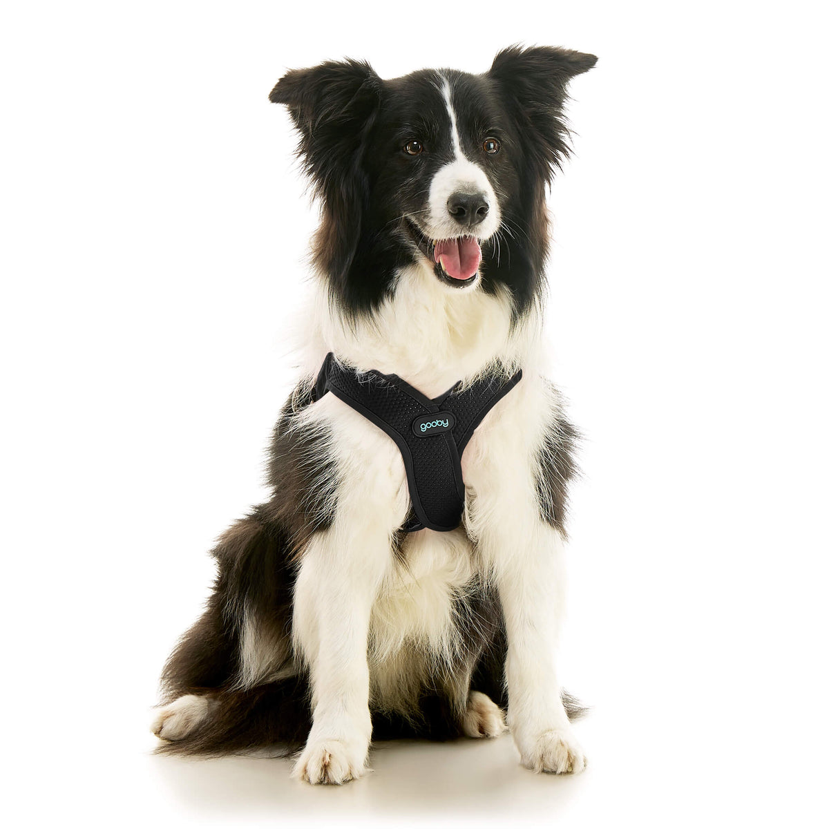 Escape Free Easy Fit X