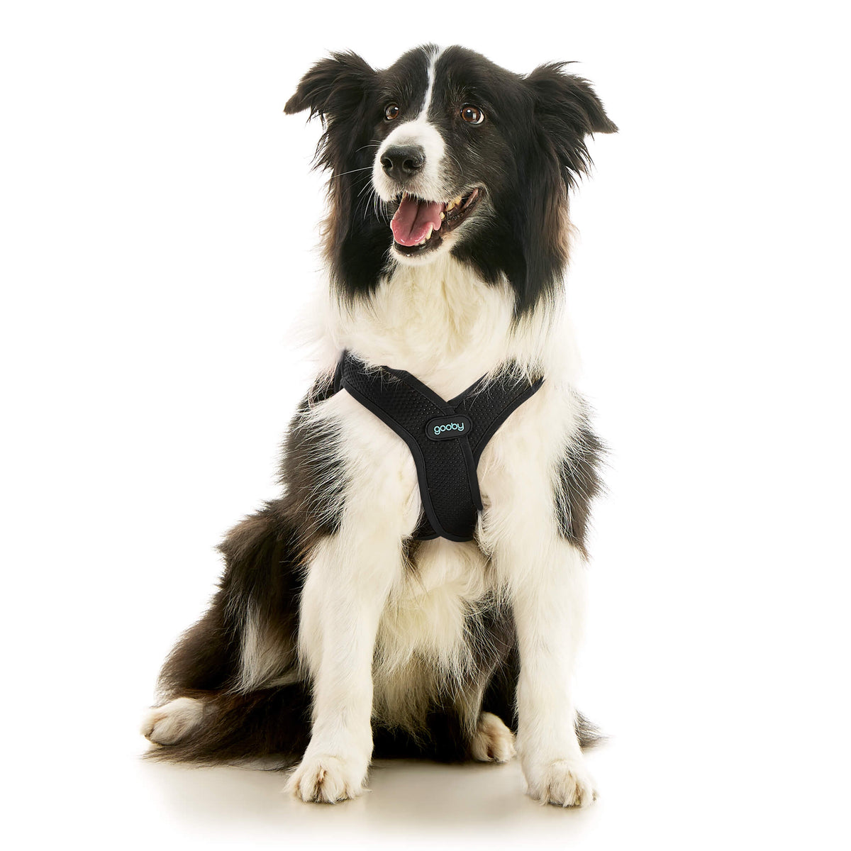 Escape Free Easy Fit X