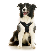 Escape Free Easy Fit X