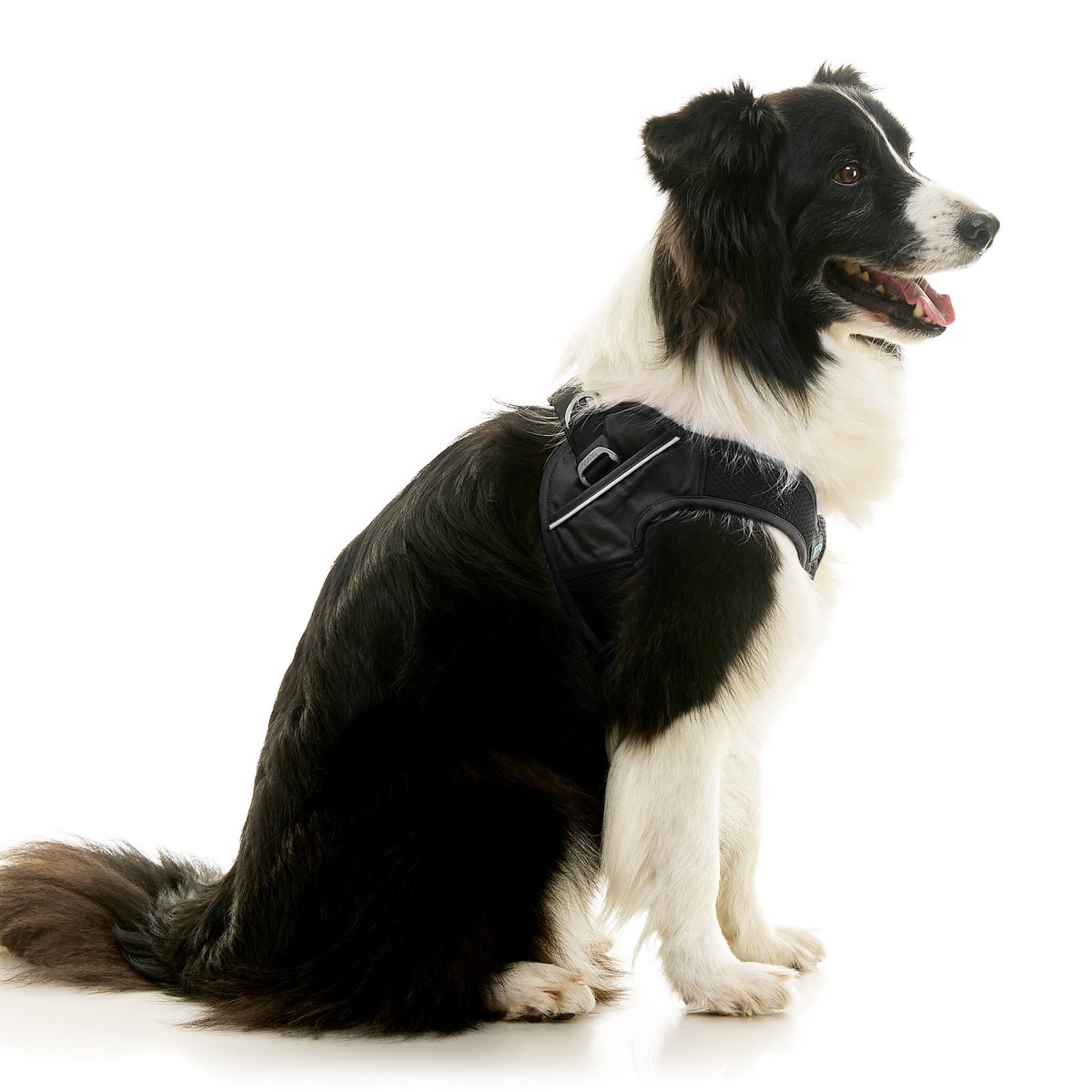 Escape Free Easy Fit X