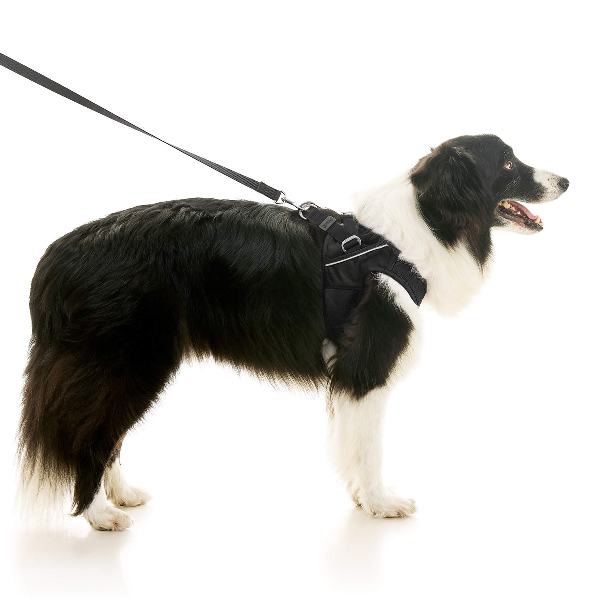 Escape Free Easy Fit X