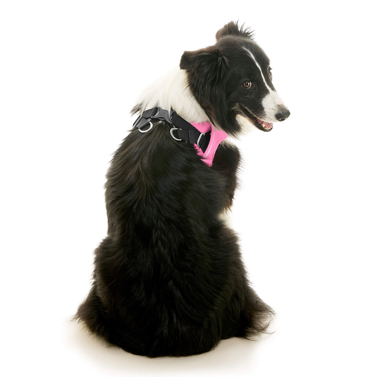 Escape Free Easy Fit X