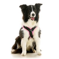 Escape Free Easy Fit X