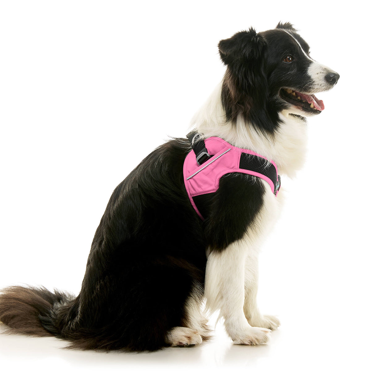 Escape Free Easy Fit X