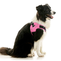 Escape Free Easy Fit X