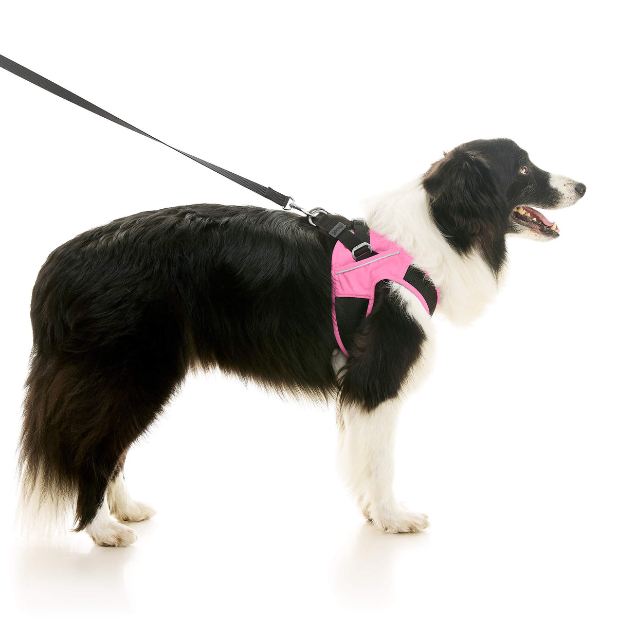 Escape Free Easy Fit X